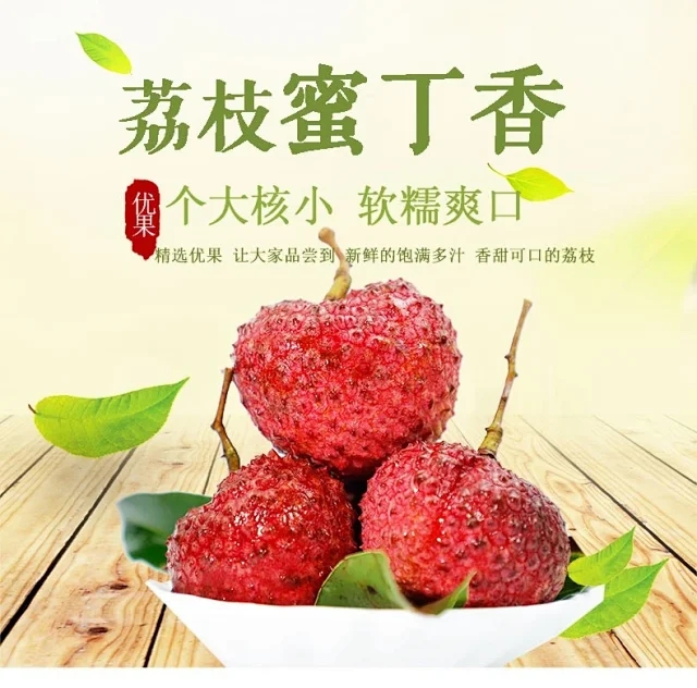 福建漳州荔枝王蜜丁香荔枝软糯香甜个大核小新鲜现摘顺丰EMS空运