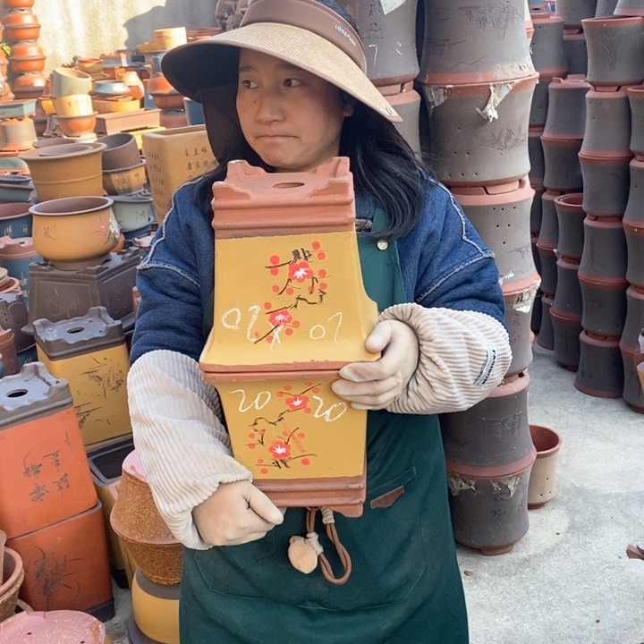 紫砂花盆盆栽花卉苗木种植