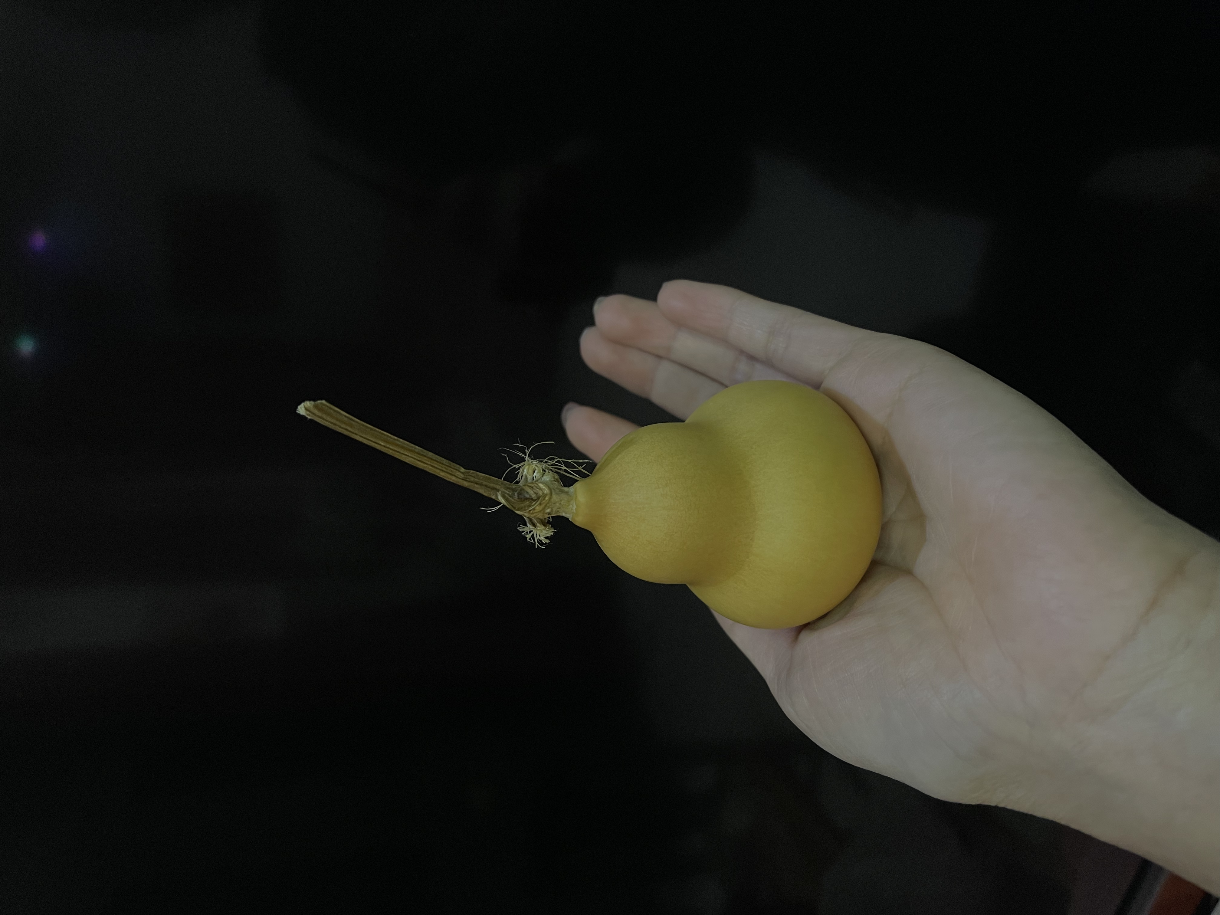 天然带龙头小葫芦文玩手把件可盘玩