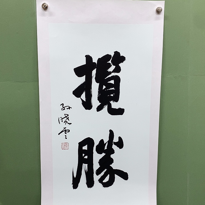 竖款精品书法作品宣