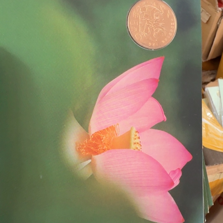 其他普通金属熊猫夏卡册，如图