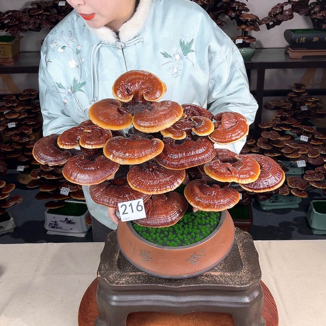 万事如意8888888888216