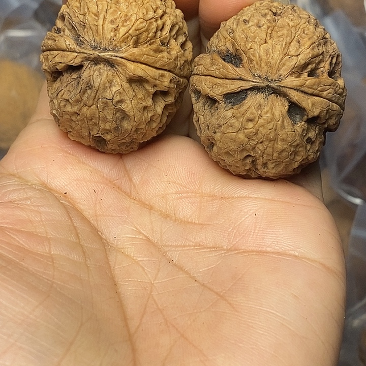 文玩核桃把件云南铁核桃56