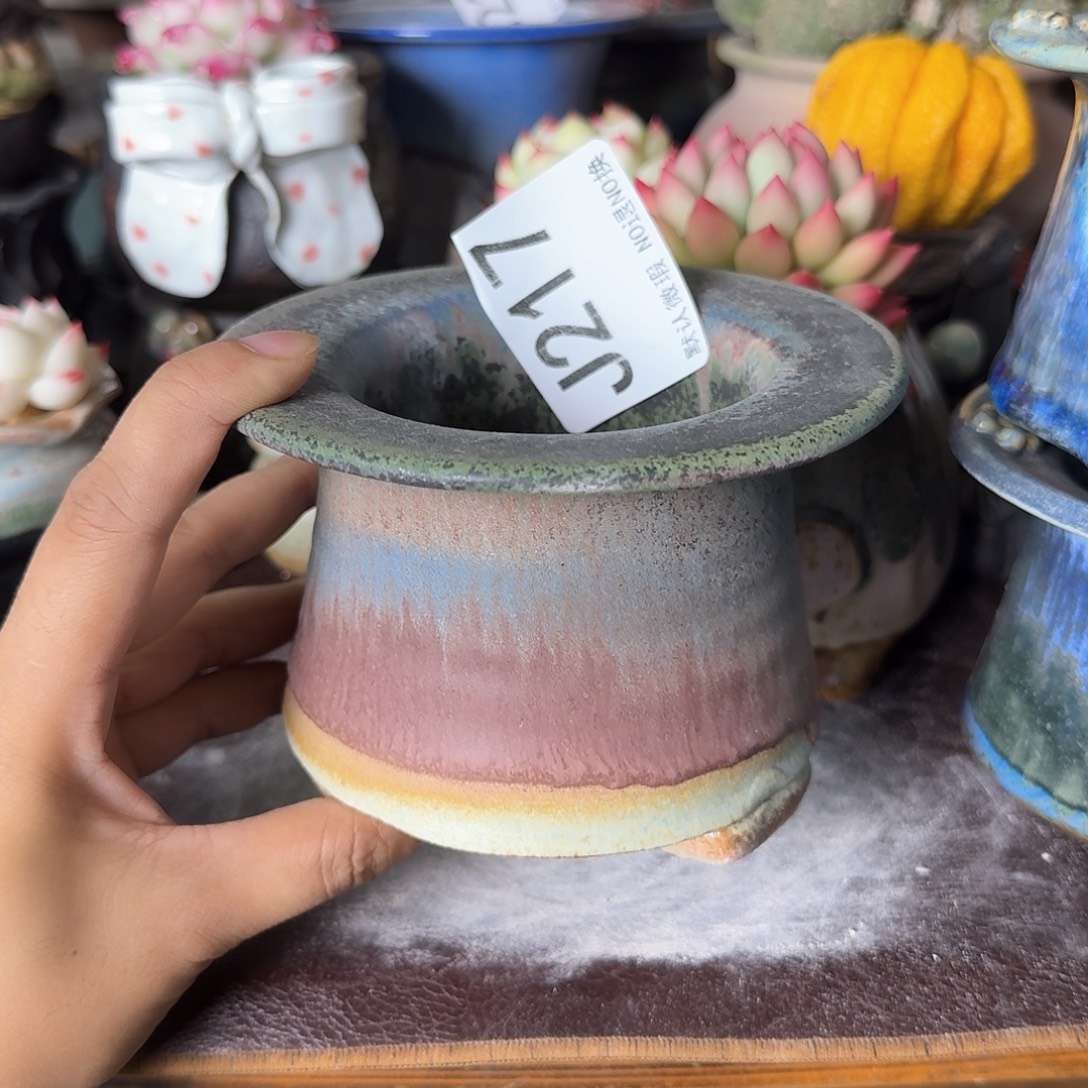 重庆小燕子欢迎大家217