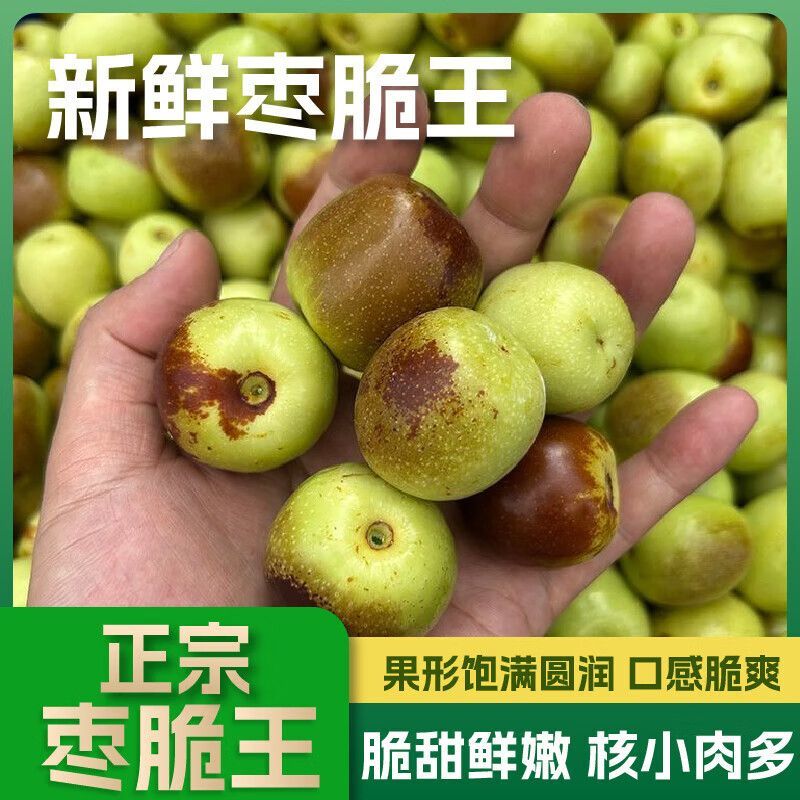 【婆枣】山东沾化早熟冬枣新鲜当季枣子