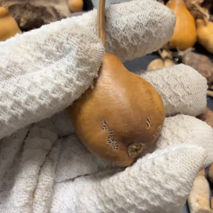 难***言6666666777777888