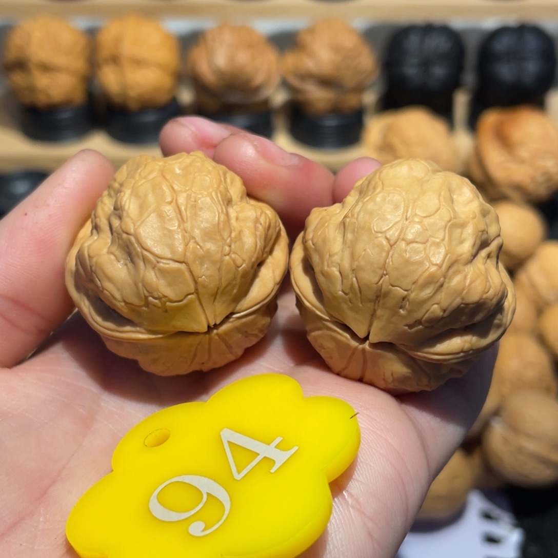 z***o金刚鹦鹉核桃33。    