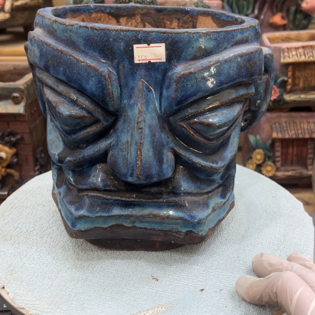 红陶陶然多肉花盆特价福利