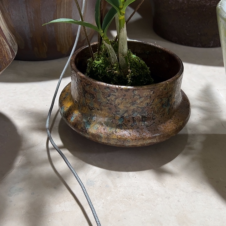 无孔高11/16花盆发风格环境好