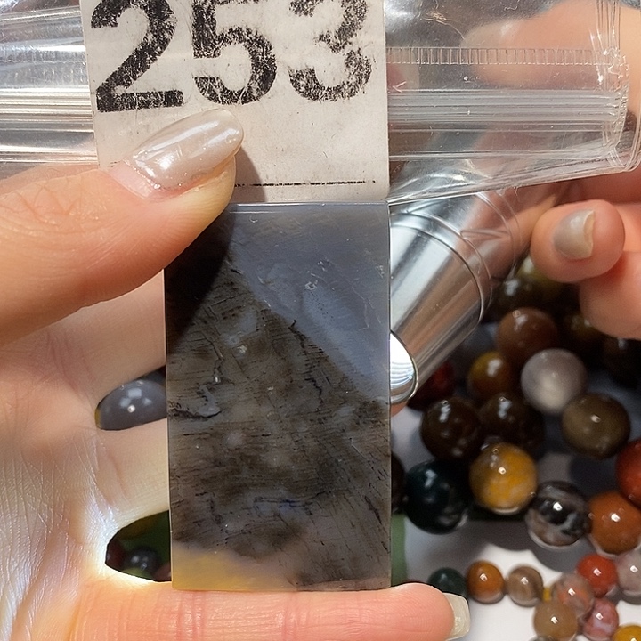 硅化玉未镶嵌天然北票树化玉吊坠