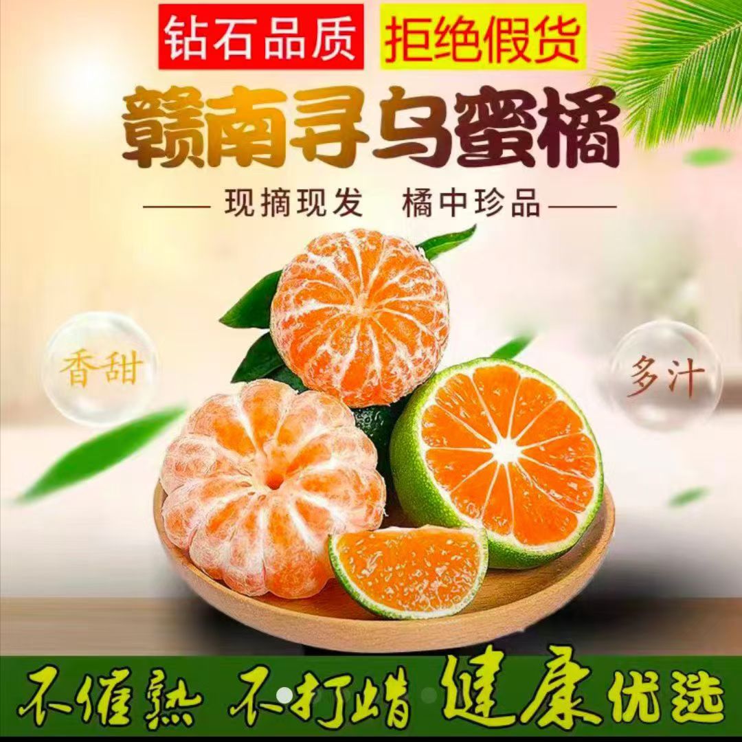 【产地直发】正宗江西赣南寻乌蜜橘蜜桔当季新鲜现摘皮薄多汁