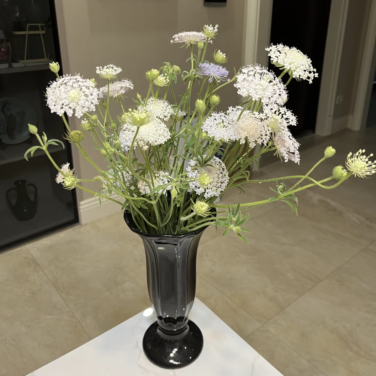 [家居鲜花 颜色随机 满45起送]翠珠单支白色/紫色家养办公室生活鲜花简易包装