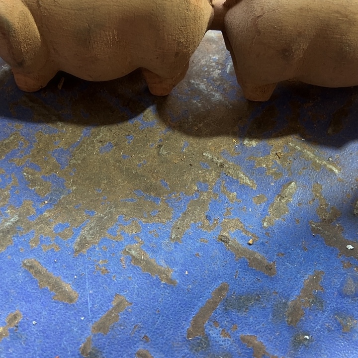 香榧木88888888888888