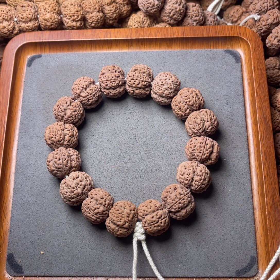 菩提籽类10号金刚菩提满肉梁梅花21