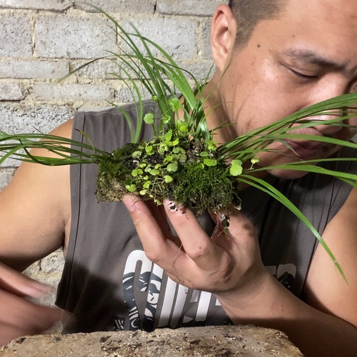退款拉黑一物一拍269