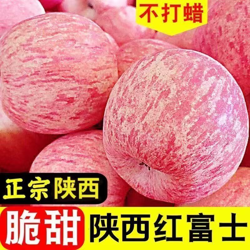 【现摘新果】正宗陕西洛川红富士苹果脆甜多汁冰糖心新鲜水果现摘