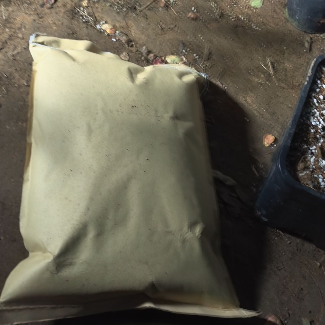 9.9元蓝莓专用基质福利