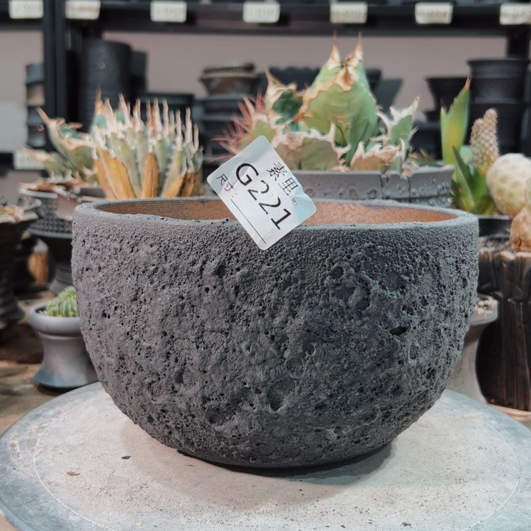 景德镇手工素里内口19高12.5