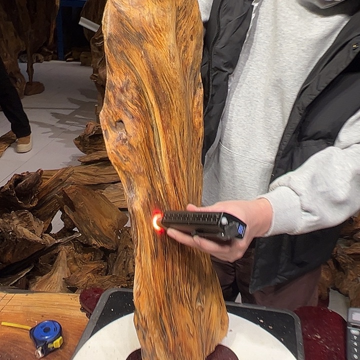 松木（琥珀木）梅*赖