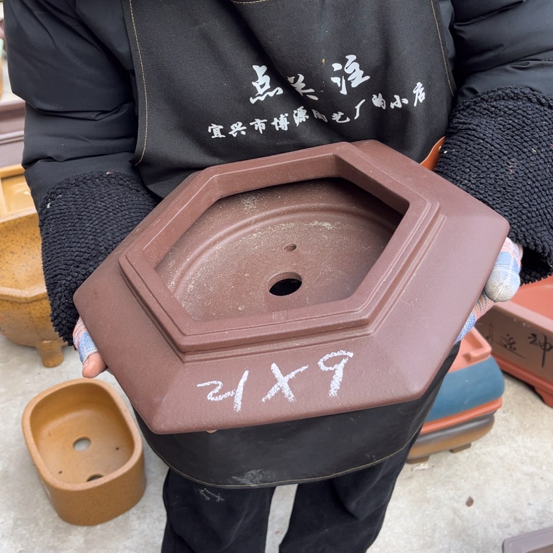 紫砂花盆盆景艺术