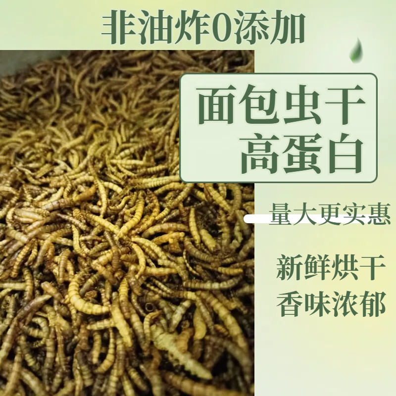 面包虫干仓鼠粮食高蛋白营养饲料鹦鹉黄粉虫粮食八哥饲料宠物食品