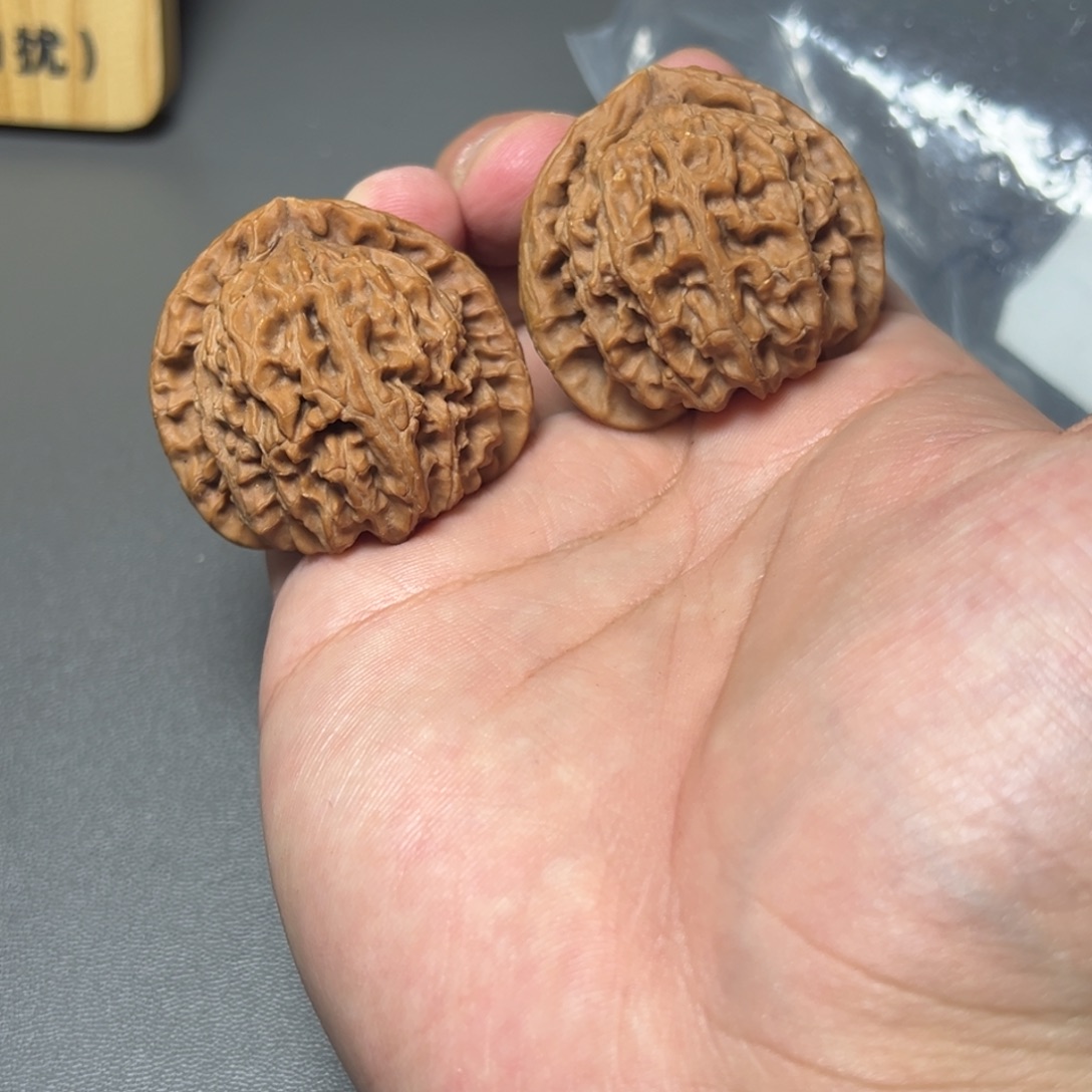 0***.白狮子全品。      