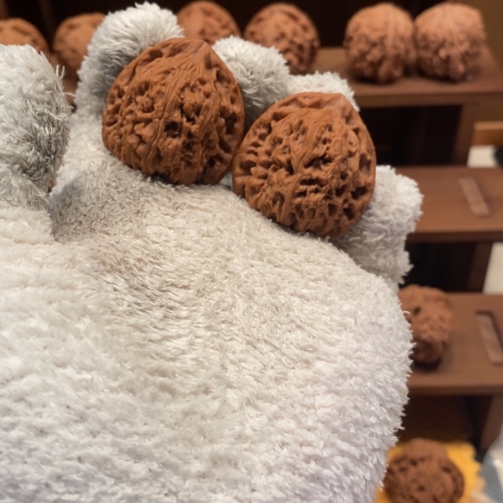 36 尺寸三角疆狮子头