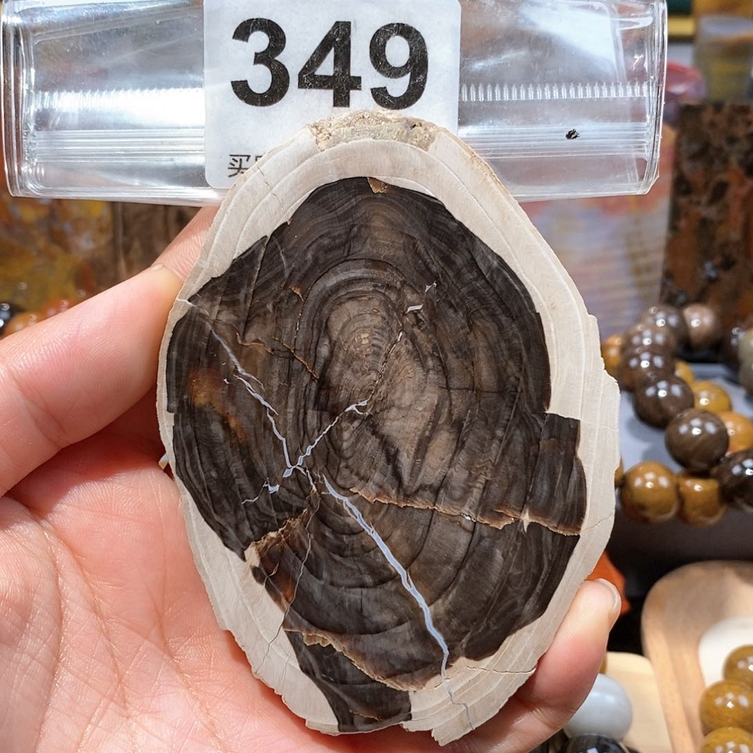 硅化玉天然北票硅化玉原石未镶嵌天然北票硅化玉原石