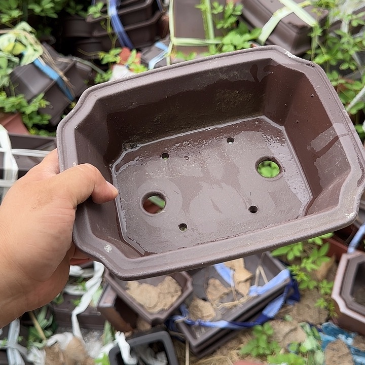 这一期看过不少关于这几本我