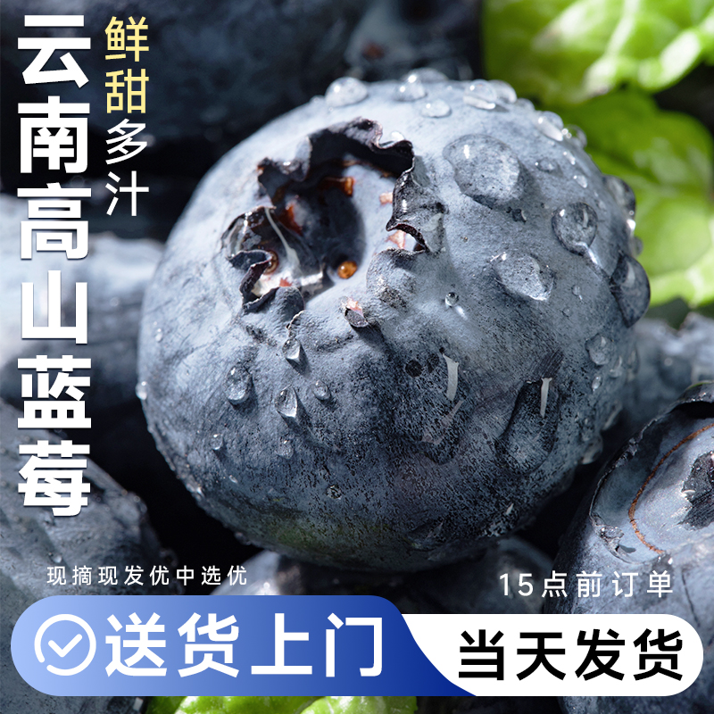 云南蓝莓新鲜水果当季花香蓝梅鲜果现摘高山怡颗孕妇大果整箱包邮