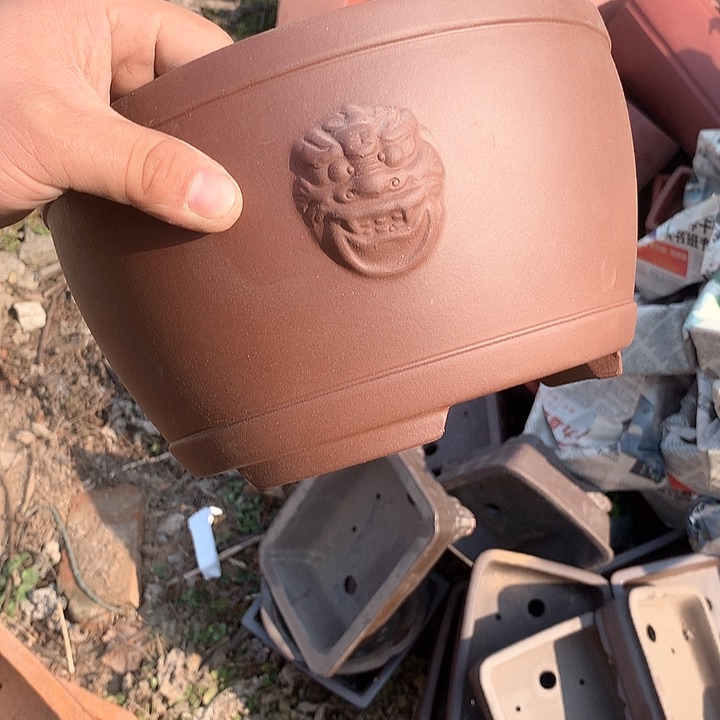 紫砂我要不就是你一