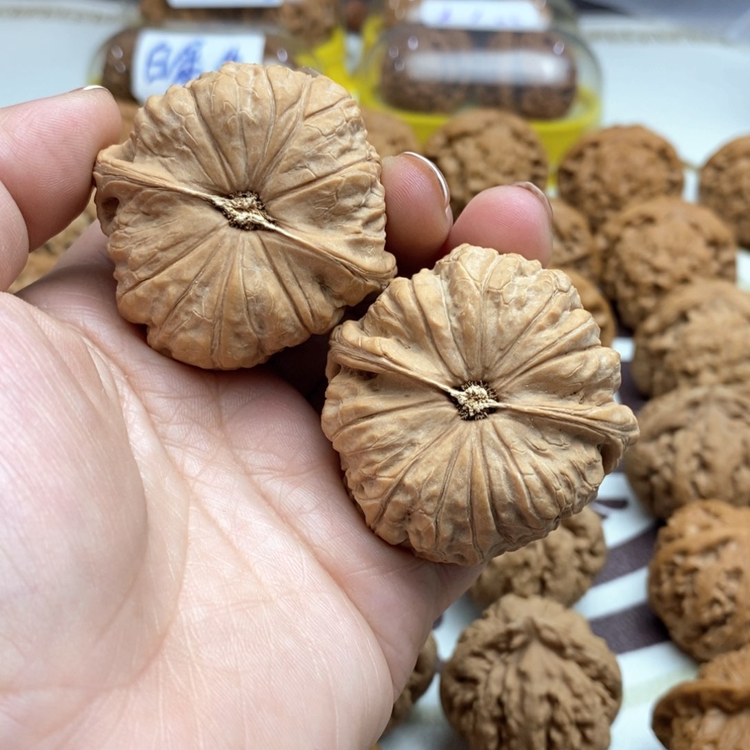 文玩核桃吊坠南瓜墩48尺全品