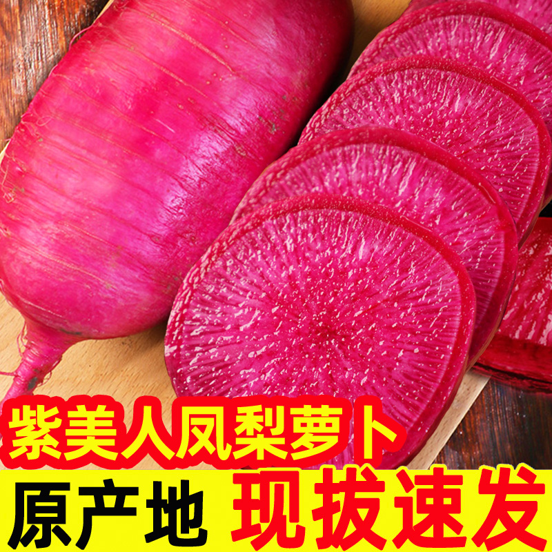 紫美人水果萝卜凤梨萝卜甜脆水果型潍坊红心潍坊青萝卜冰淇淋 1