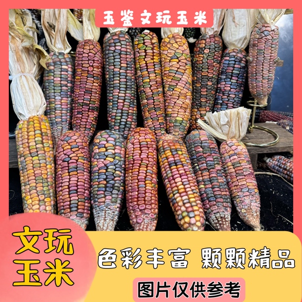 文玩玉米毛料链接 直播间一物一拍 图片仅供参考