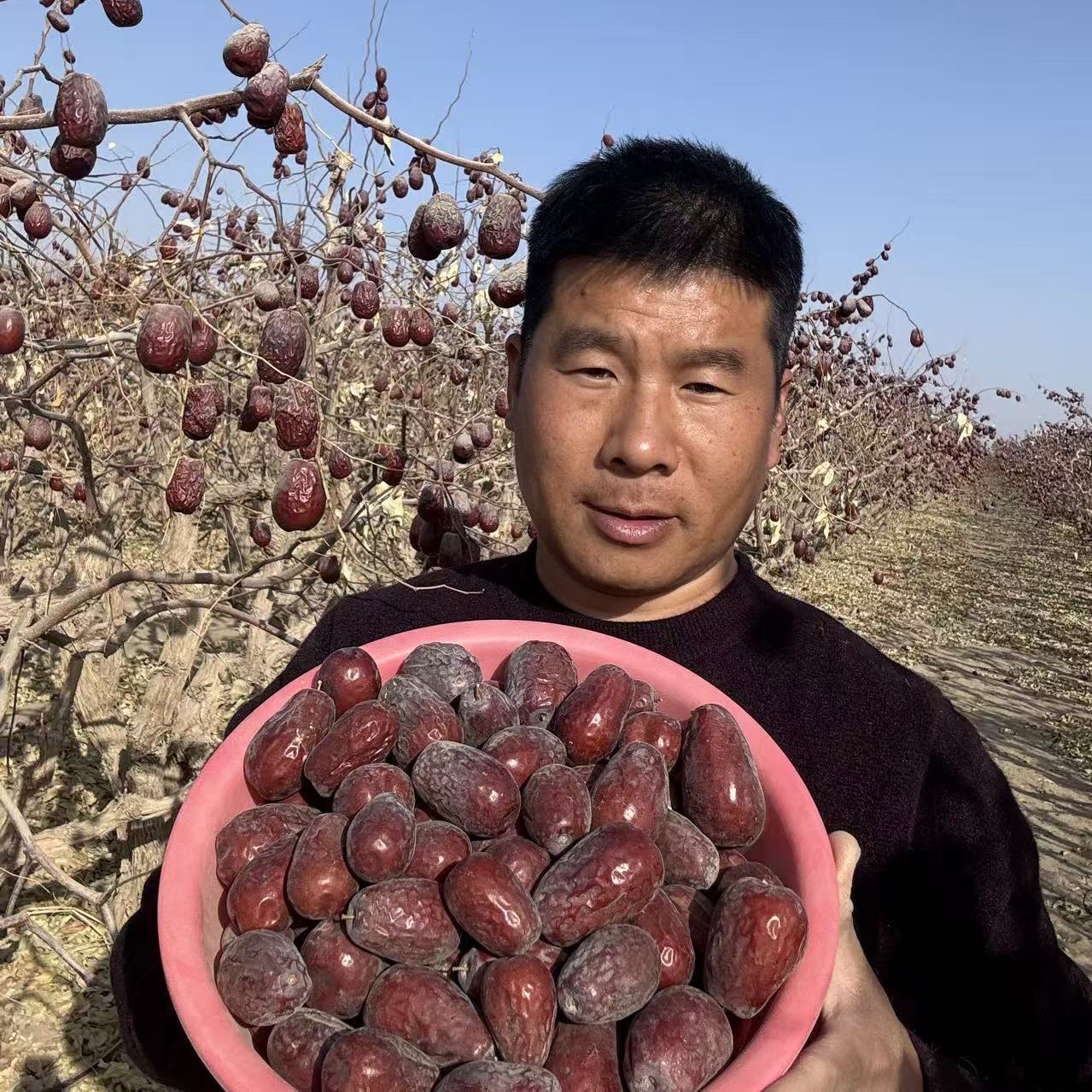 新疆和田大枣原生态一二级混装[3.5-4.5厘米】原产地直发