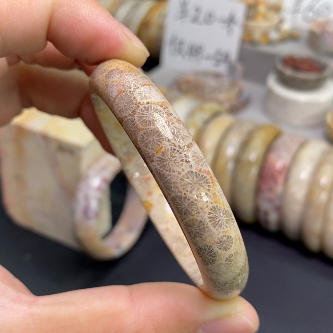 硅化玉未镶嵌手镯