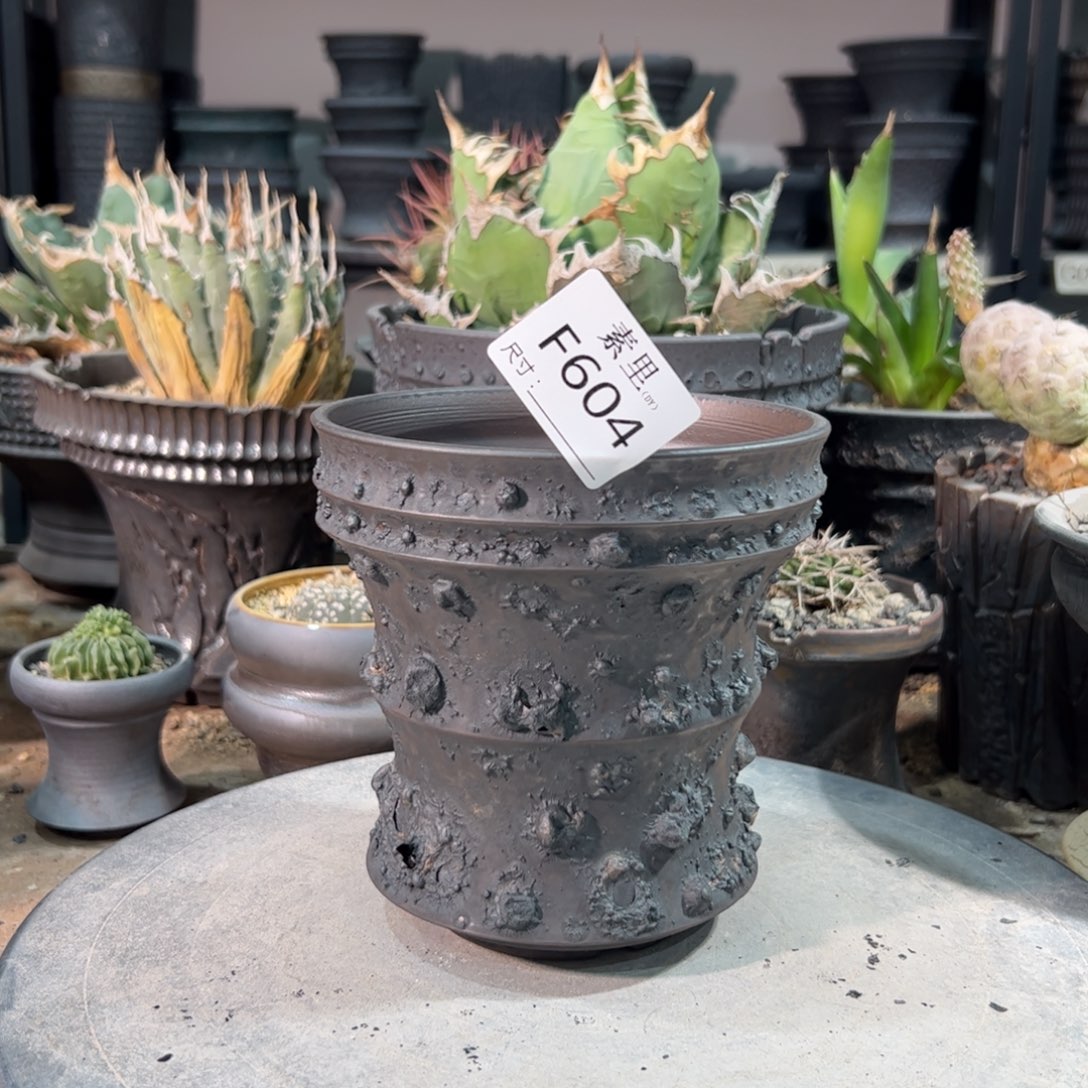 景德镇手工素里内口12高13.5