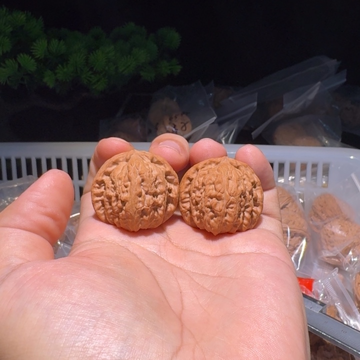 吊坠文玩核桃白狮子
