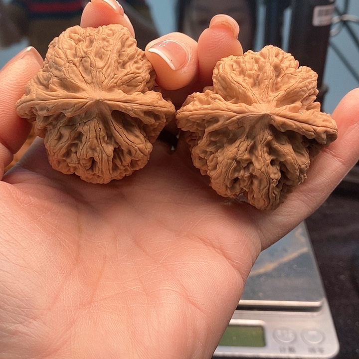 文玩核桃把件46粗筋188