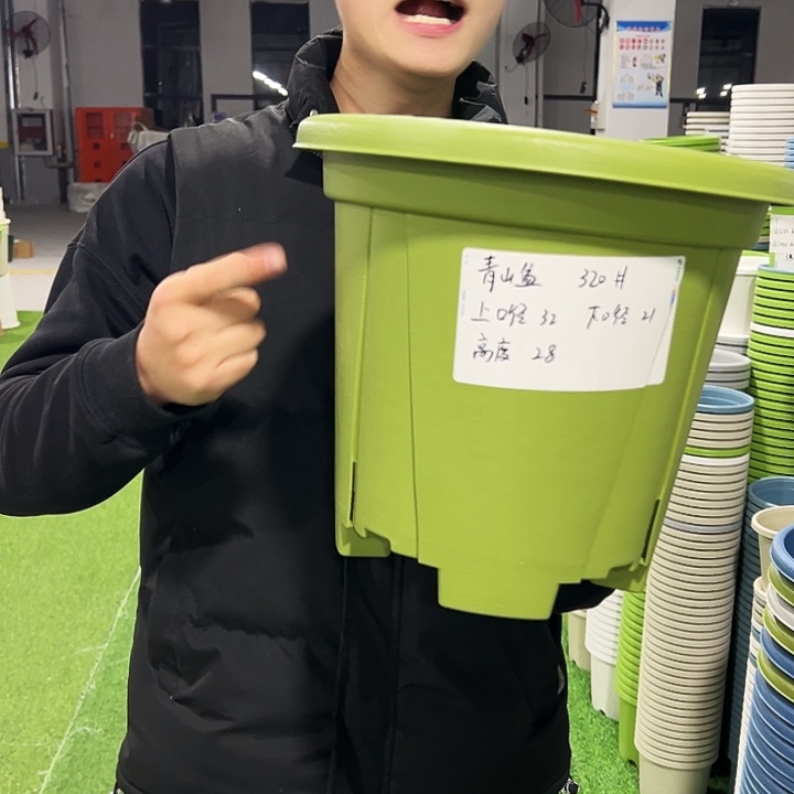 清仓青山口32高28果绿色5只无托