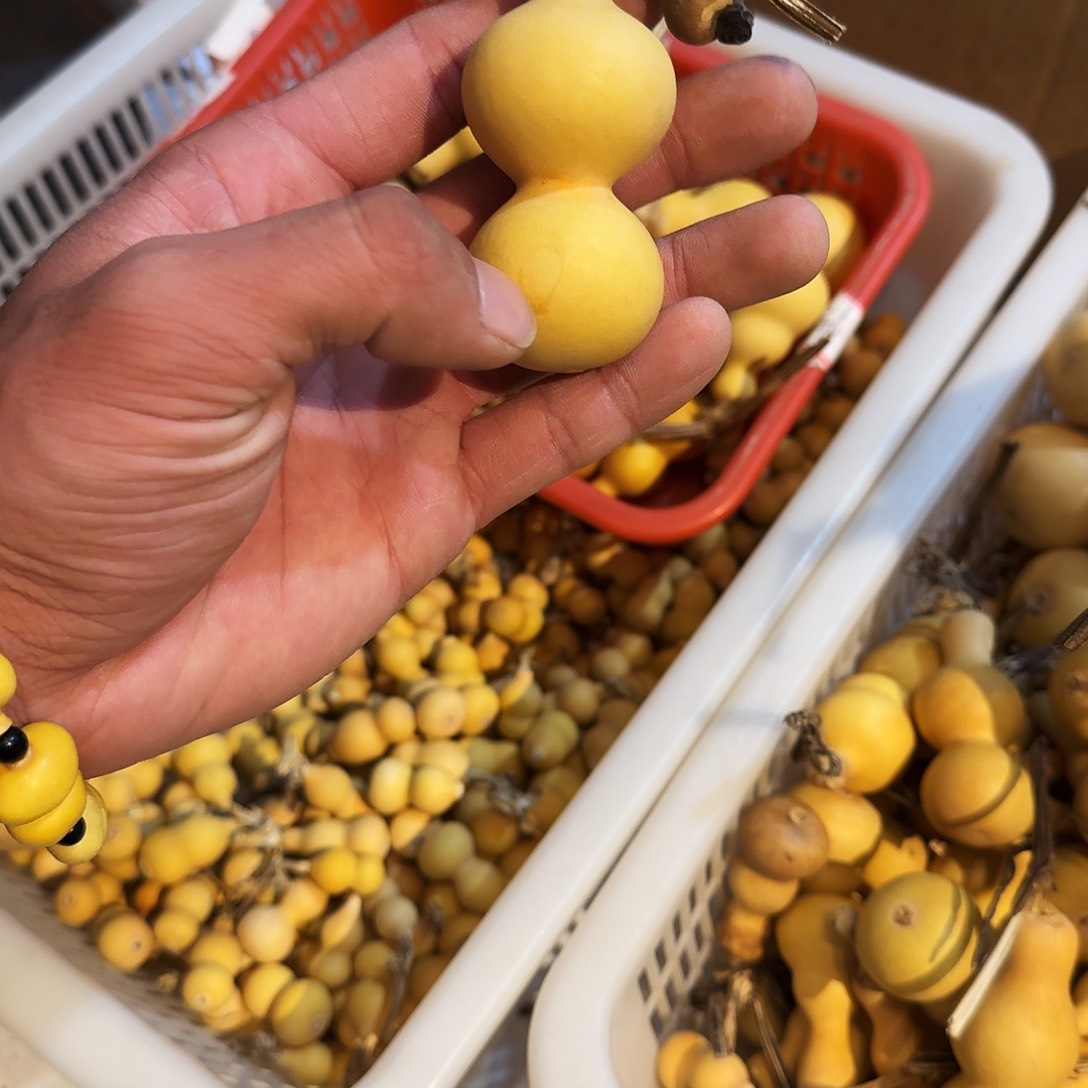 哎***…手把八宝葫芦一把抓