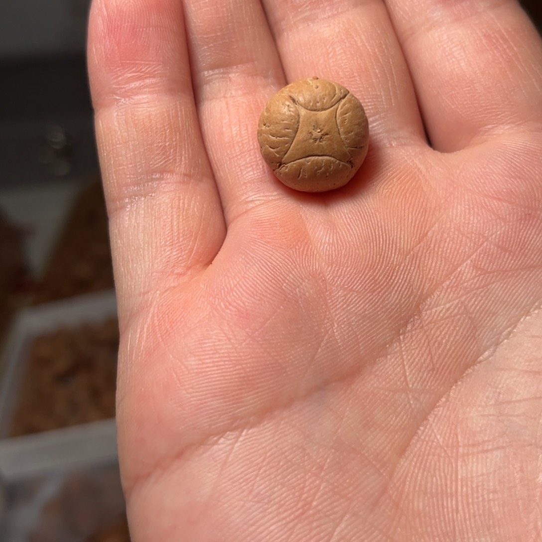 桃核吊坠16.6mm麒麟眼，开孔不退，偏远不包