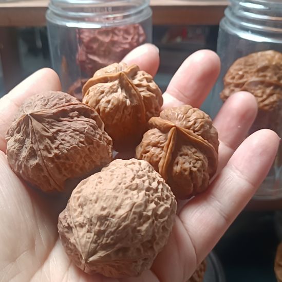 文玩核桃把件66666666666666666666