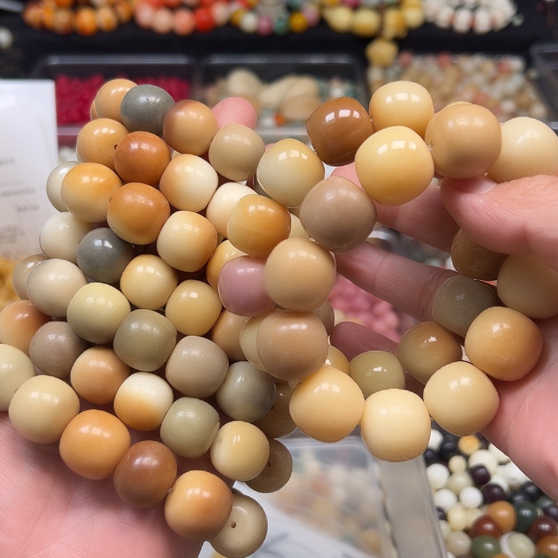 手串菩提根/象牙果10条桶珠干磨