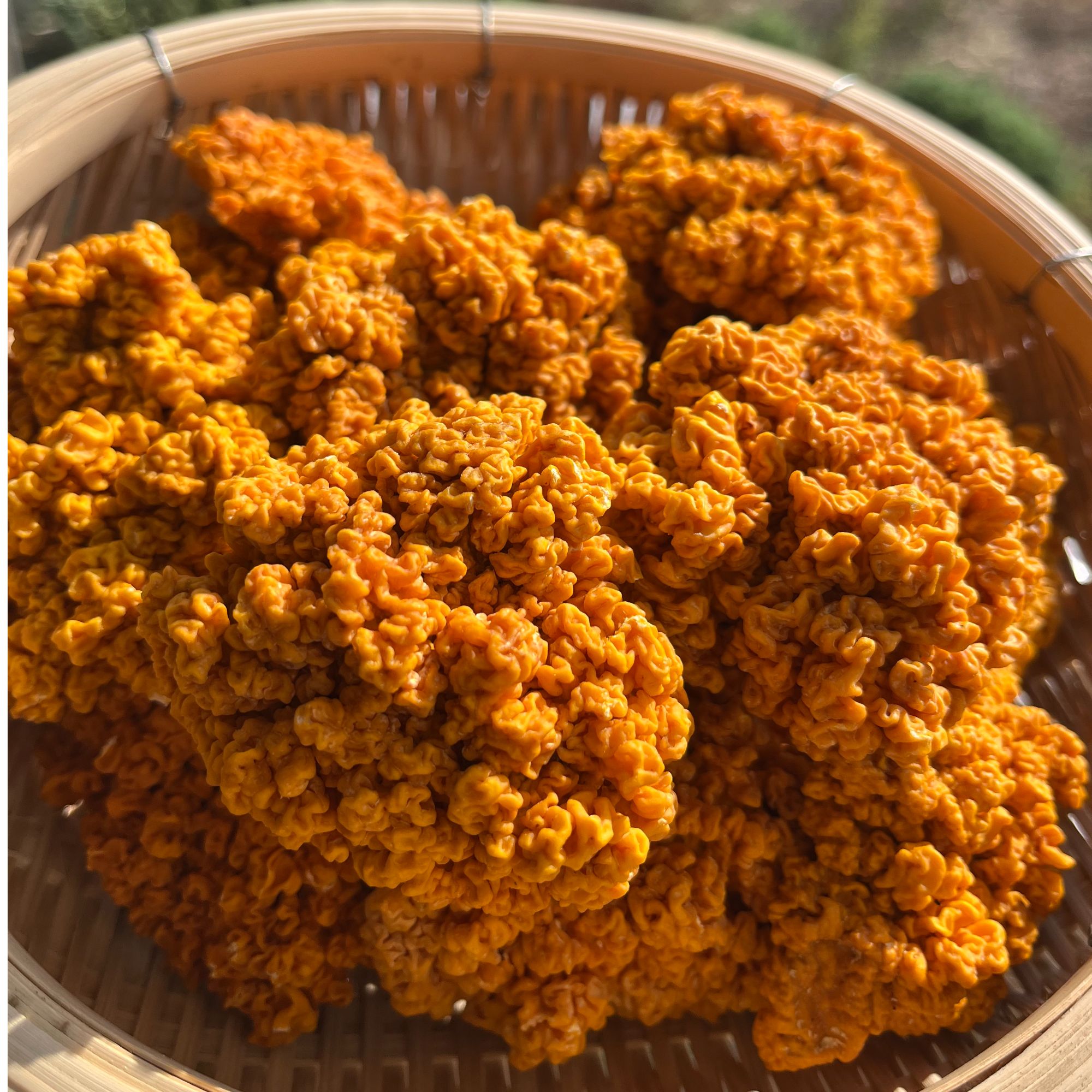 云南高原山货土特产—金耳