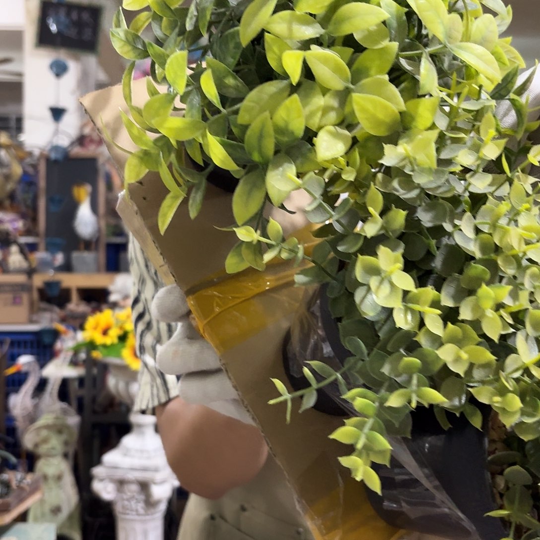 核桃木/黑胡桃（胡桃木）