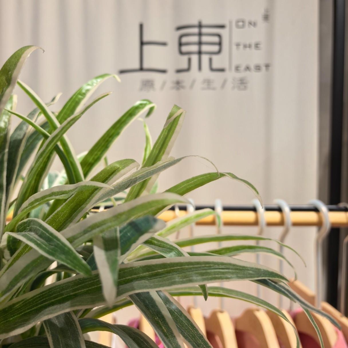 直播间过款专拍链高品质高质价比外穿长裤毛衫衬衫羊绒羊毛衫皮草