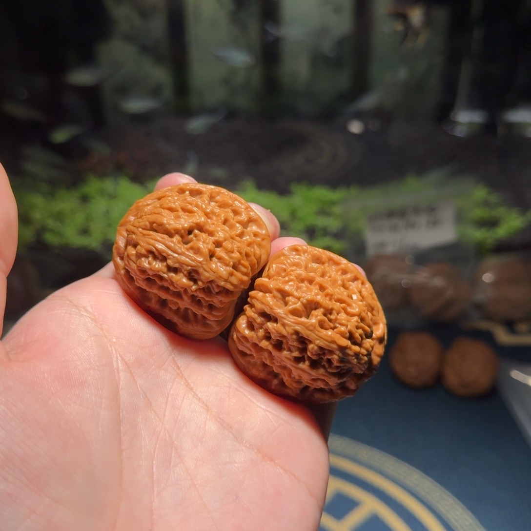 2434号41南疆石南疆石南疆石