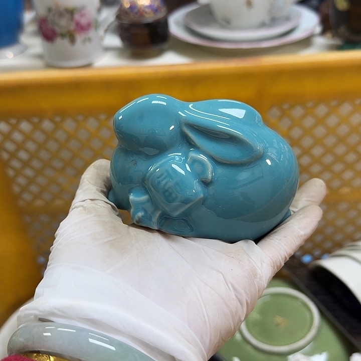 瓷片开播啦…开播啦