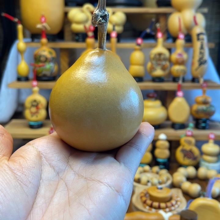 真*?天然葫芦自然生长 